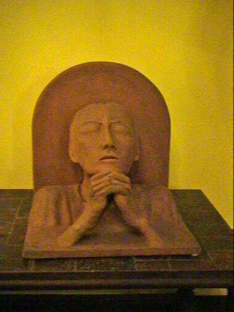 Terracotta viso