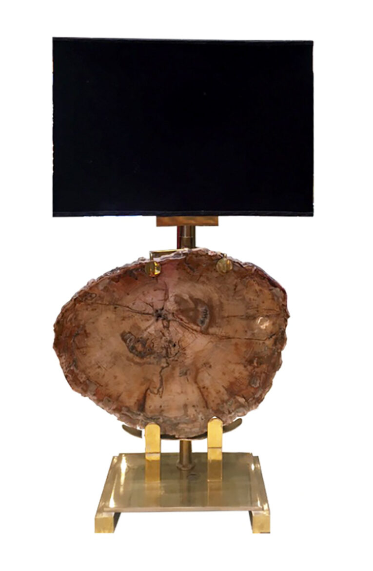 Lampade in legno fossile
