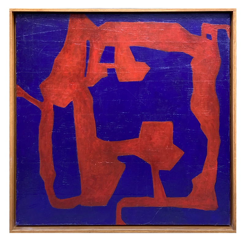 Nicoletta gatti forme continue